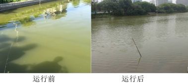 山東某市護城水體30000㎡